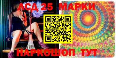 шишки Кимры