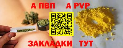 стафф Кандалакша