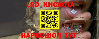 прущие грибы Канаш