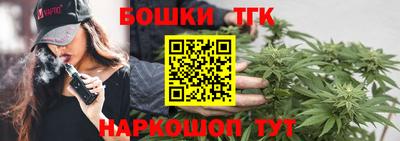 прущие грибы Канаш