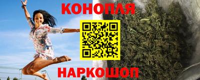 прущие грибы Канаш