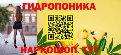 прущие грибы Канаш