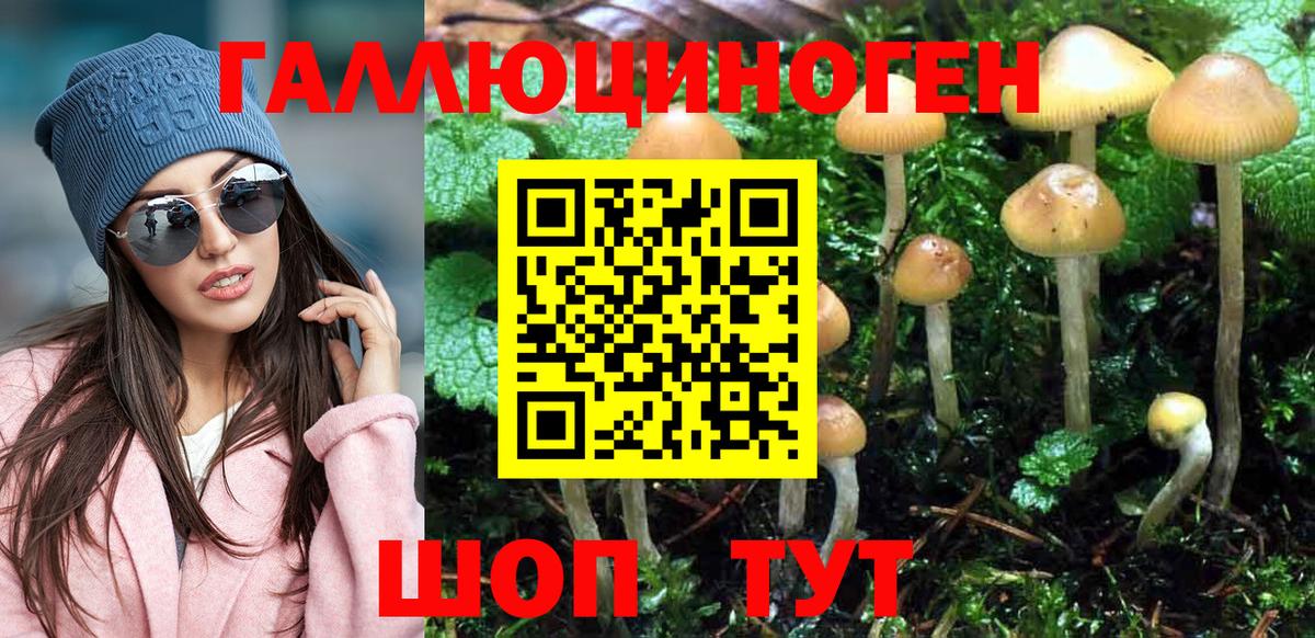 Камень-на-Оби  Галлюциногенные грибы Magic Shrooms  Вход с VPN  Псилоцибиновые грибы прущие грибы 